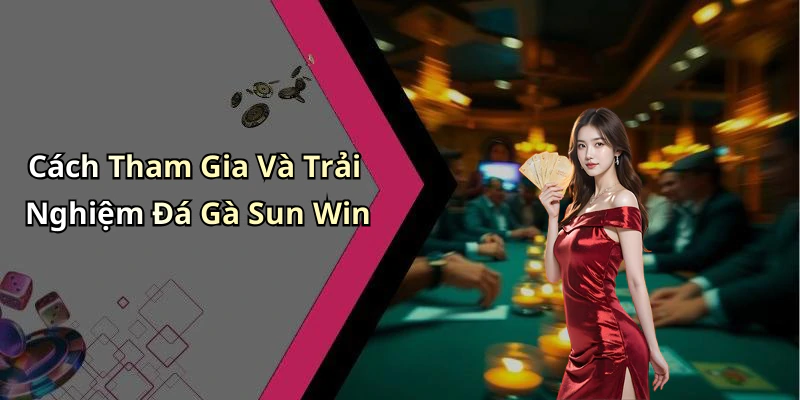 Cách Tham Gia Và Trải Nghiệm Đá Gà Sun Win