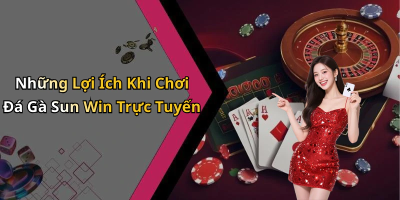 Những Lợi Ích Khi Chơi Đá Gà Sun Win Trực Tuyến