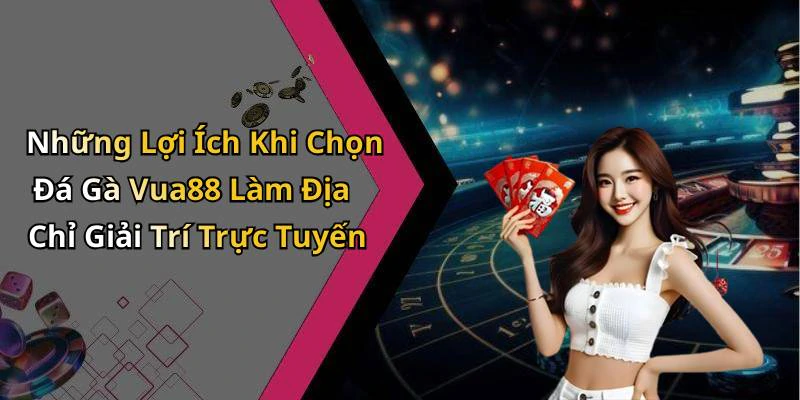 Những Lợi Ích Khi Chọn Đá Gà Vua88 Làm Địa Chỉ Giải Trí Trực Tuyến