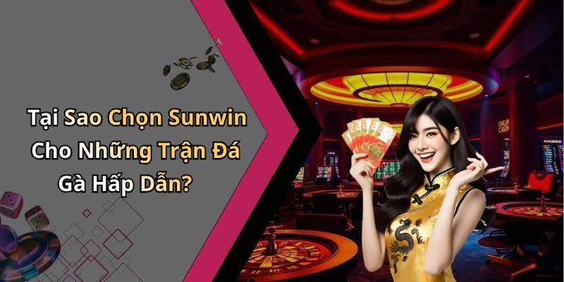 Tại Sao Chọn Sunwin Cho Những Trận Đá Gà Hấp Dẫn?